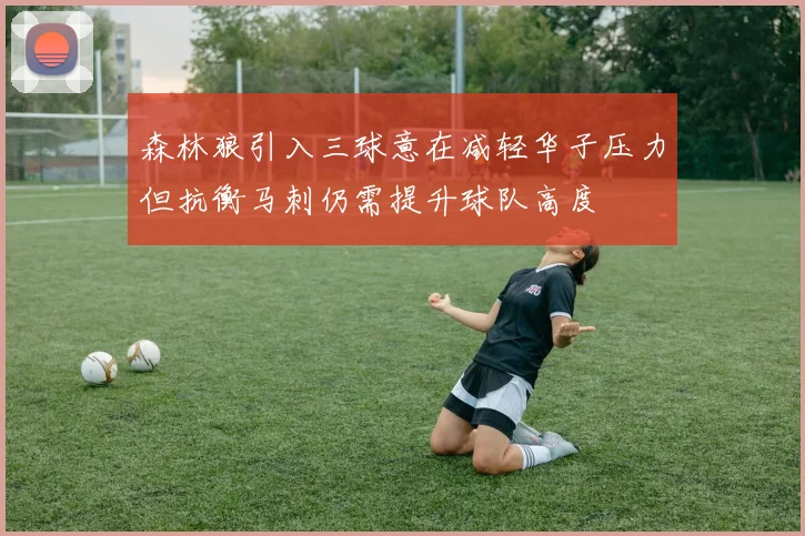 森林狼引入三球意在减轻华子压力但抗衡马刺仍需提升球队高度